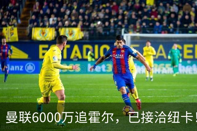 曼联6000万追霍尔，已接洽纽卡！还有仅1400万的替代候选