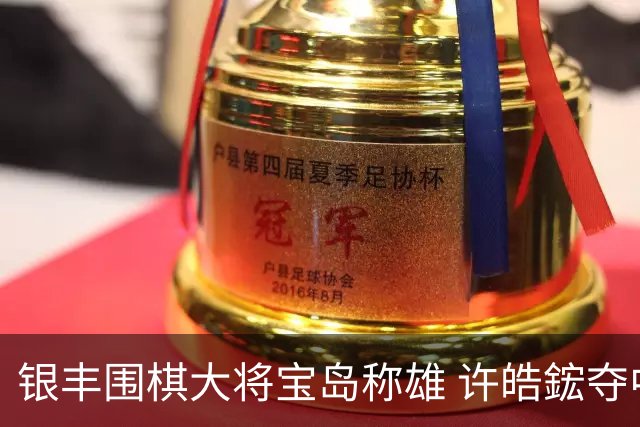 银丰围棋大将宝岛称雄 许皓鋐夺中国台湾名人赛冠军