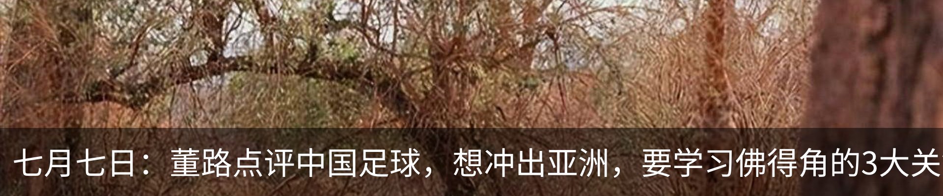 资讯中心